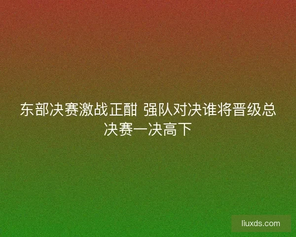 东部决赛激战正酣 强队对决谁将晋级总决赛一决高下